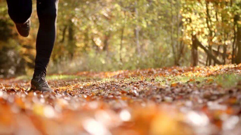 Autumn Running
